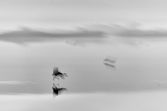 S2_01567_1