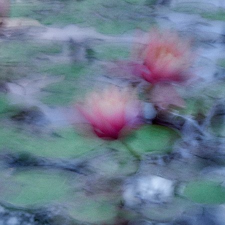 01_09219