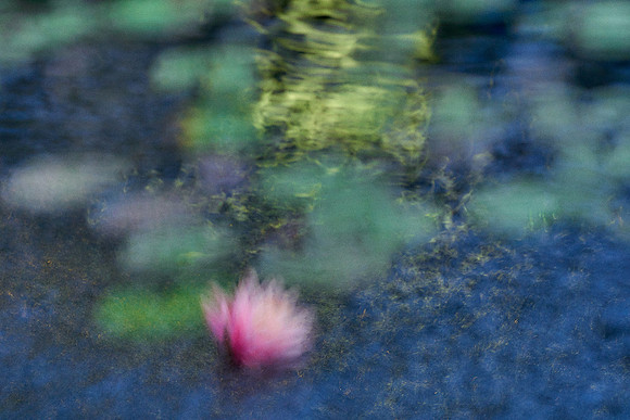 01_09455_1