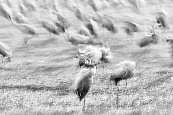 S2_03538_1