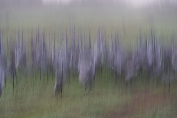 S2_01700