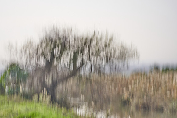 S2_03711