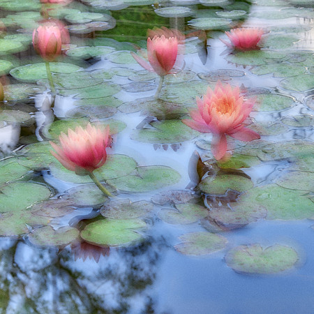 01_09016