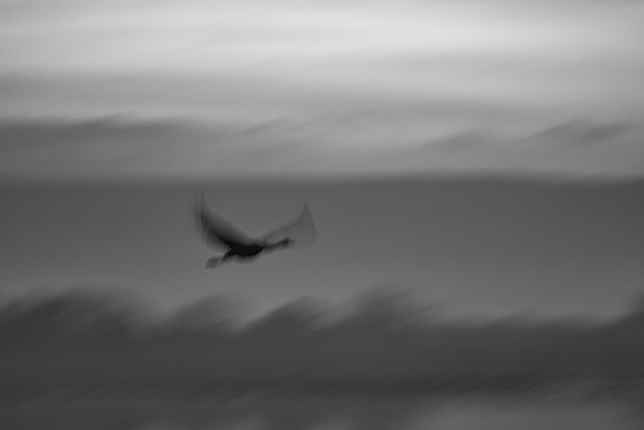 S2_00283_1