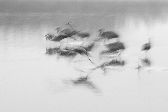 S2_01253 BW