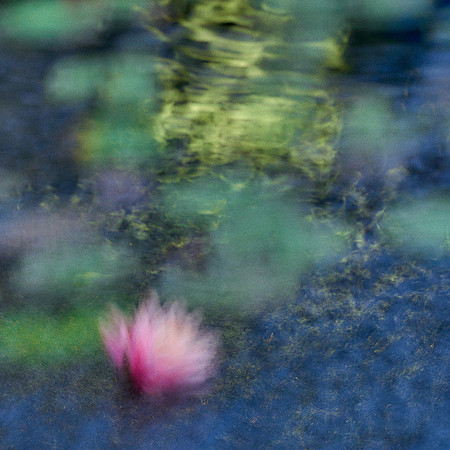 01_09455
