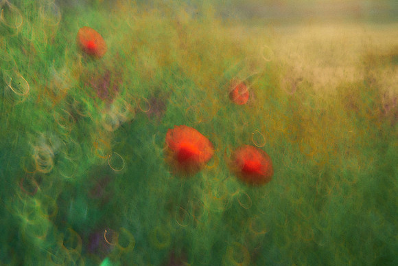 01_06988