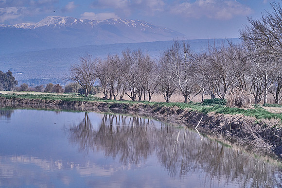 5044_AGMON_HAHULA_2025_03_01
