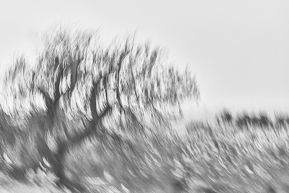 S2_03709