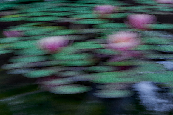 01_09293