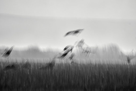 S2_02888