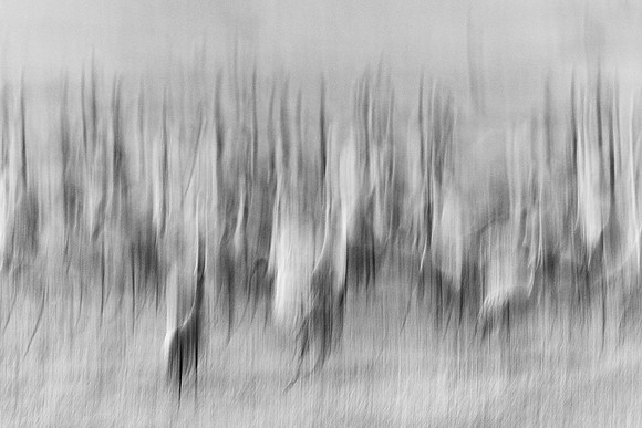 S2_01700_1