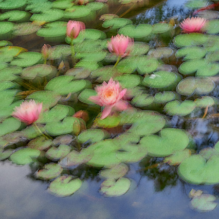 01_09015