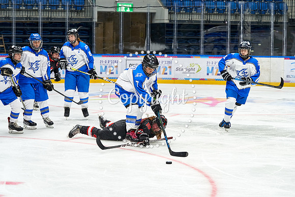 IMAGE_01392