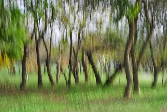 S2_03811