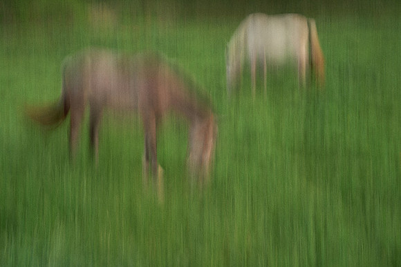 01_09404_2 copy_1