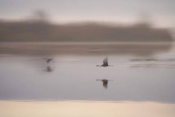 S2_01281