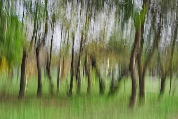 S2_03810