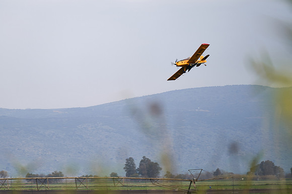 S1_04775