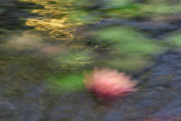 01_09514