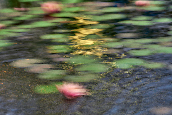 01_09491