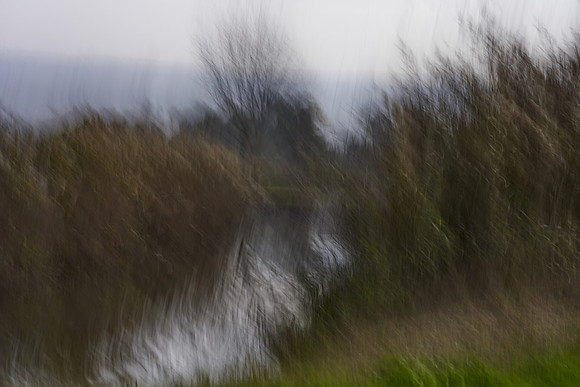 S2_04131