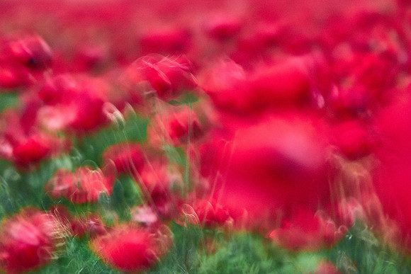 S1_07653