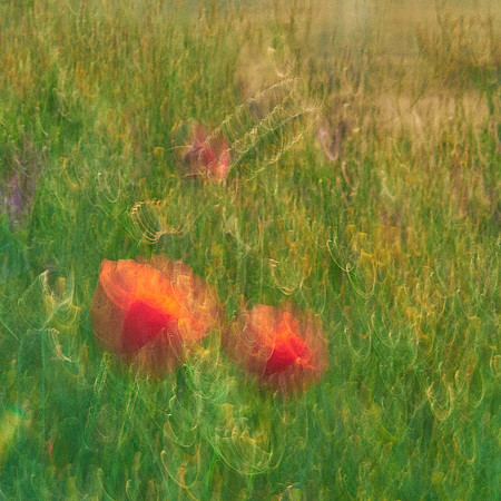 01_07026
