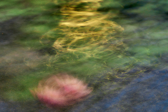 01_09479