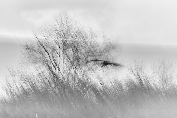 S2_01889_2