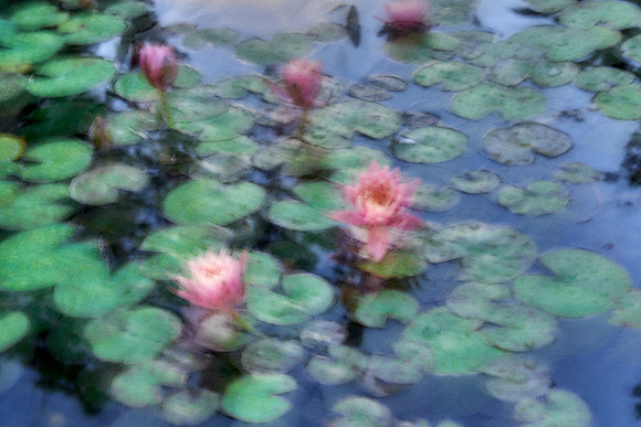 01_09153