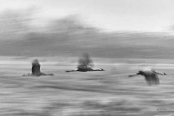 S2_02101_1