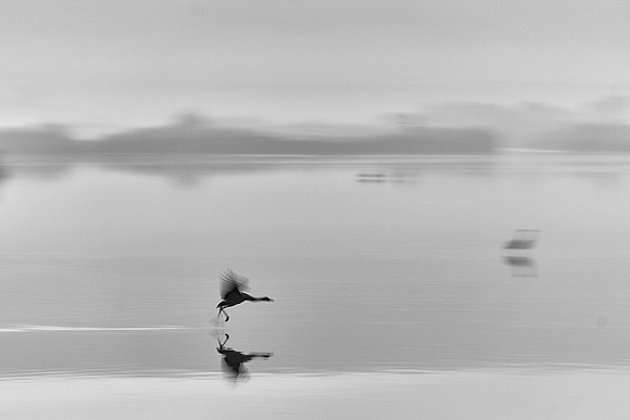 S2_01566_1