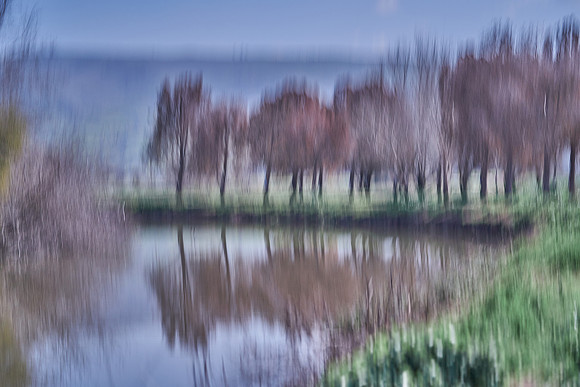4939_AGMON_HAHULA_2025_03_01