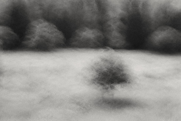 01_08066 copy