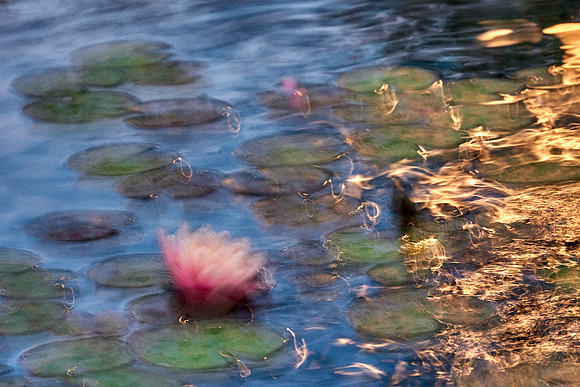 01_09570_1