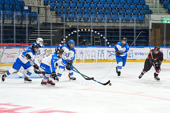 IMAGE_01384