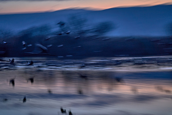 0116_AGMON_HAHULA_2025_03_01