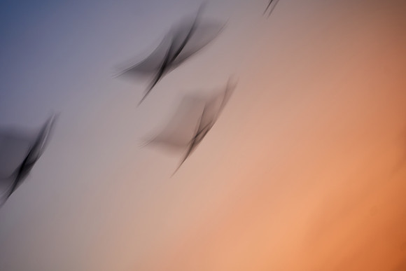 S2_00650
