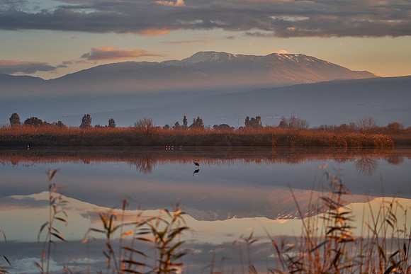 2124_AGMON_HAHULA_2025_03_01_1