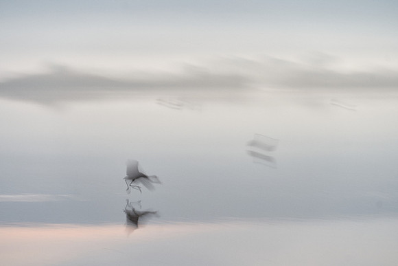S2_01567_2